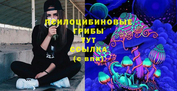 PSILOCYBIN Алзамай