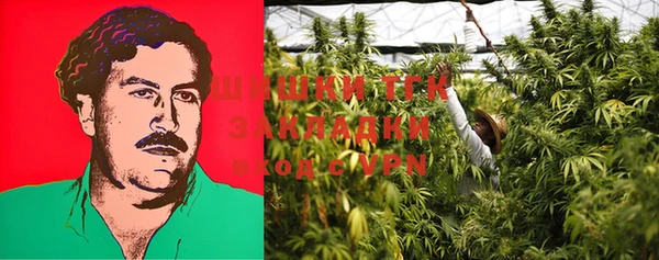 PSILOCYBIN Алзамай