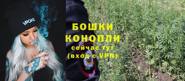 PSILOCYBIN Алзамай