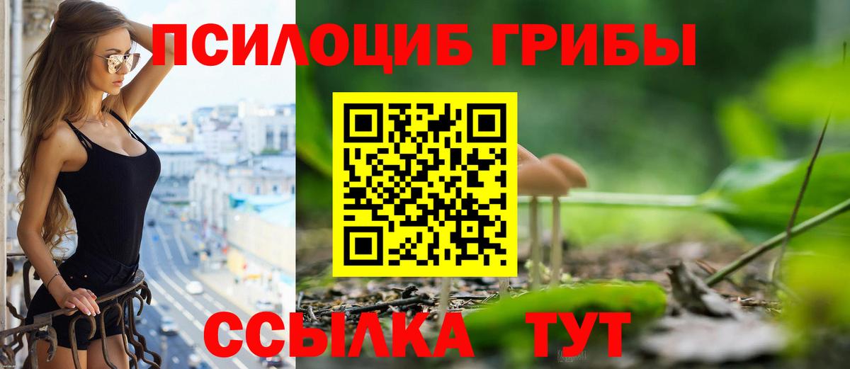 Псилоцибиновые грибы Psilocybe Аргун
